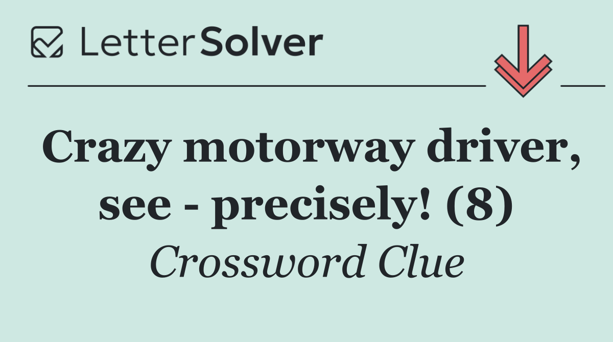 Crazy motorway driver, see   precisely! (8)
