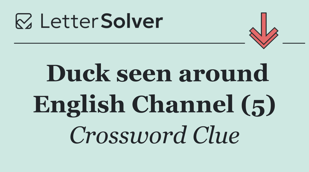 Duck seen around English Channel (5)