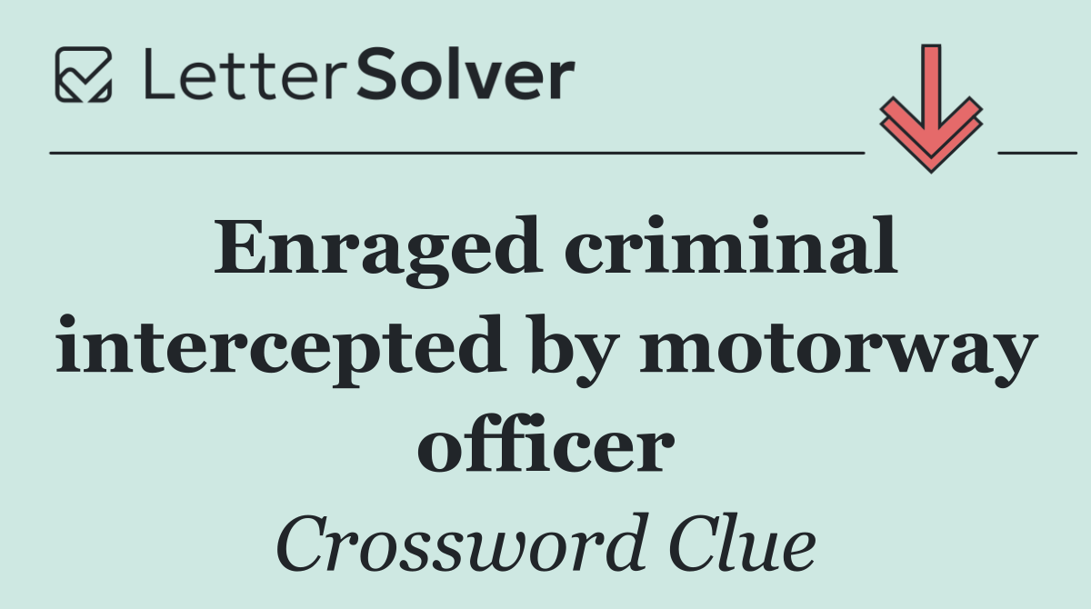 Enraged criminal intercepted by motorway officer