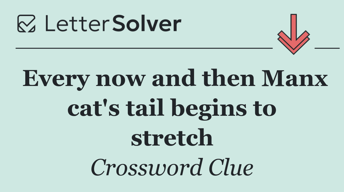 Every now and then Manx cat's tail begins to stretch