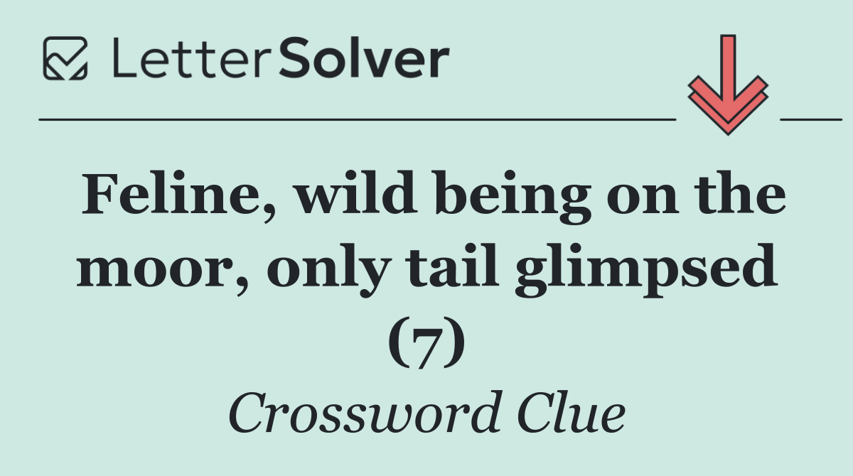Feline, wild being on the moor, only tail glimpsed (7)