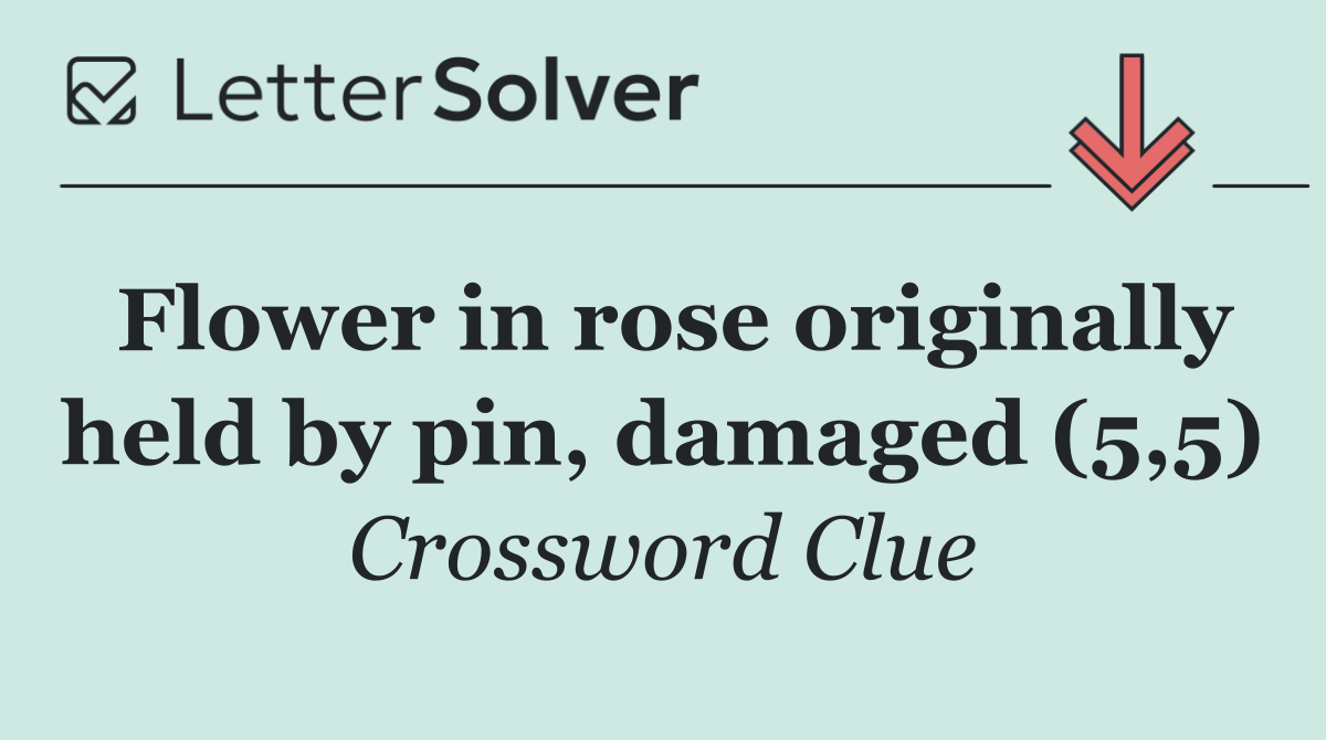 Flower in rose originally held by pin, damaged (5,5)