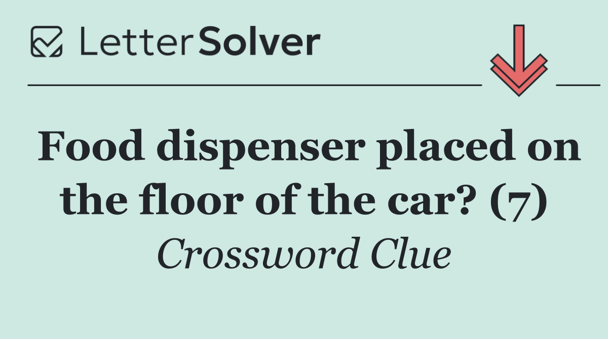 Food dispenser placed on the floor of the car? (7)
