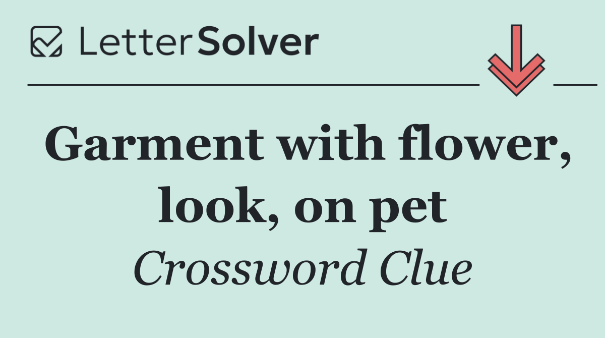 Garment with flower, look, on pet