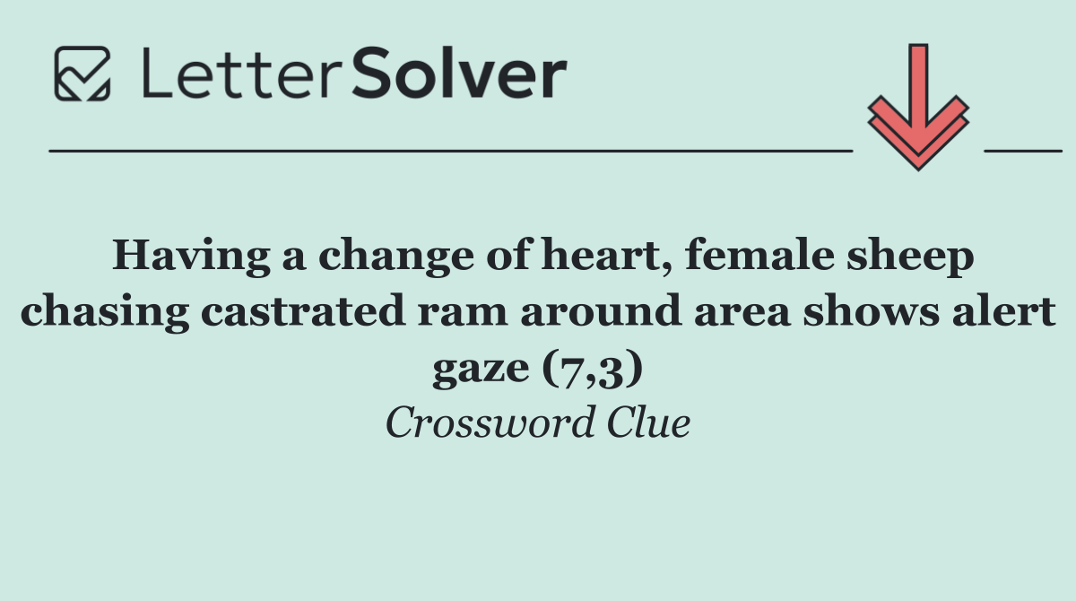 Having a change of heart, female sheep chasing castrated ram around area shows alert gaze (7,3)