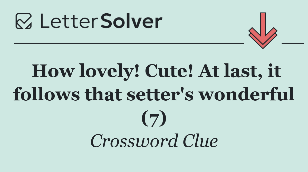 How lovely! Cute! At last, it follows that setter's wonderful (7)