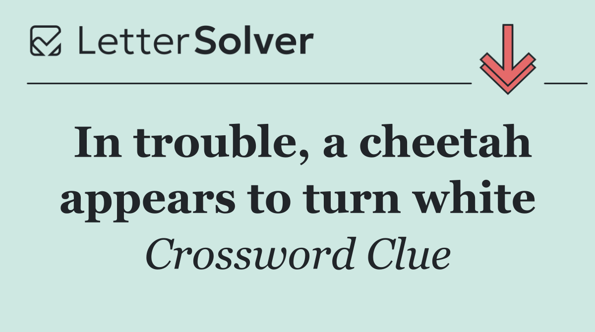 In trouble, a cheetah appears to turn white