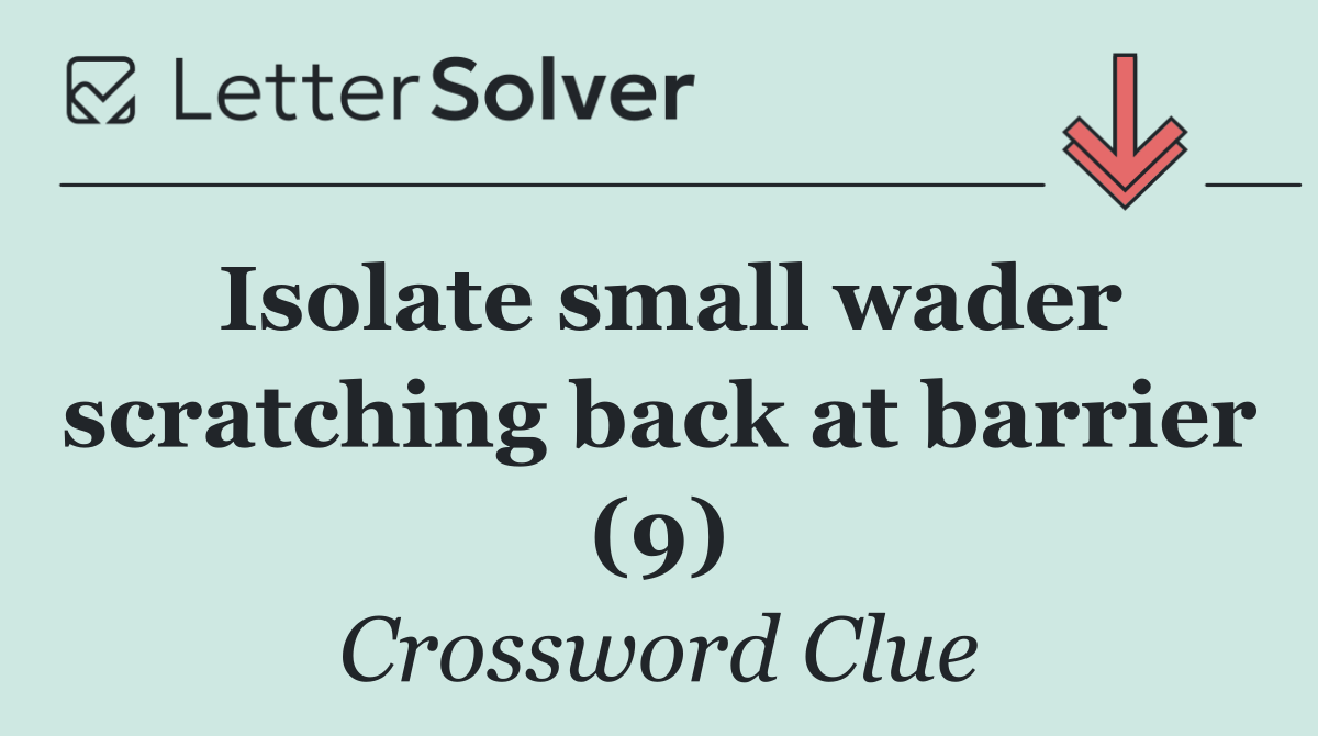 Isolate small wader scratching back at barrier (9)