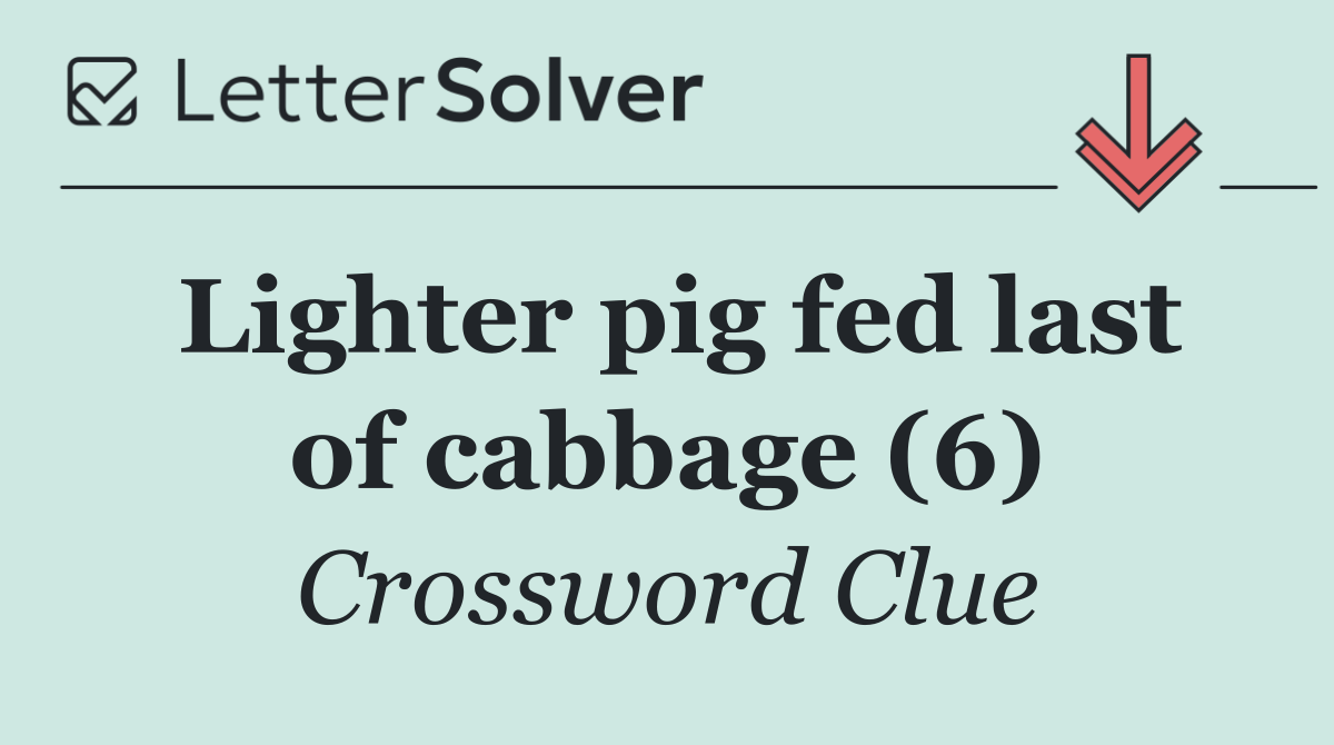 Lighter pig fed last of cabbage (6)