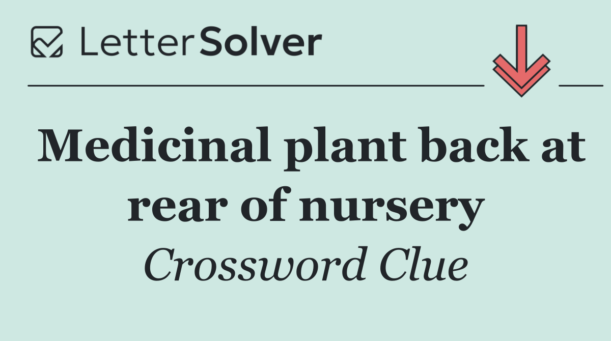 Medicinal plant back at rear of nursery