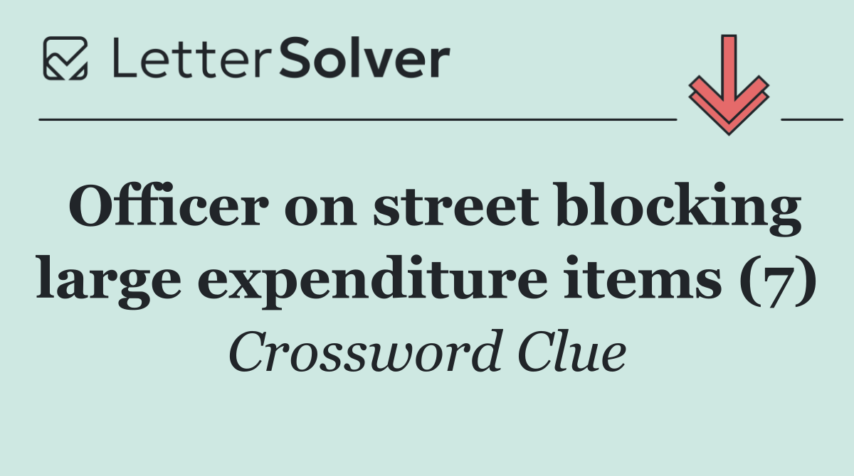 Officer on street blocking large expenditure items (7)