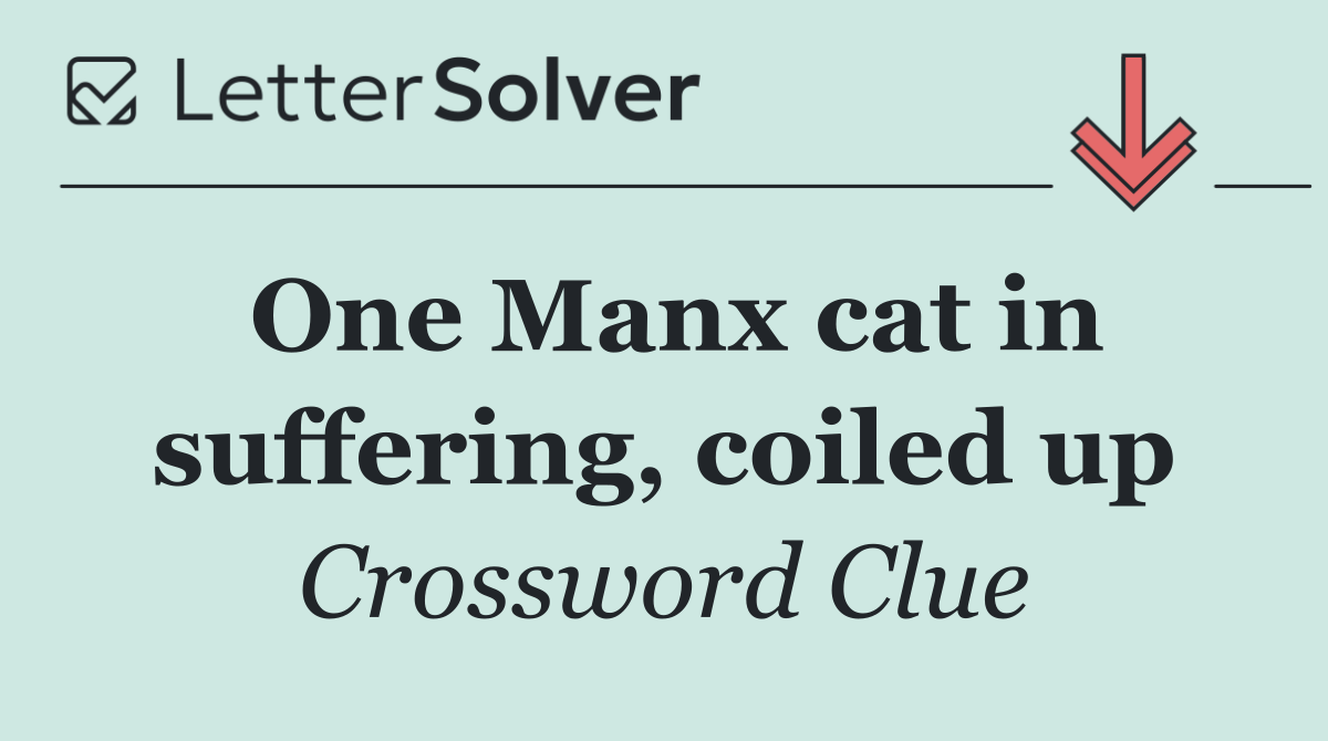 One Manx cat in suffering, coiled up