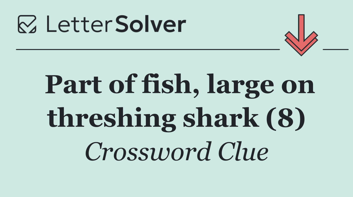 Part of fish, large on threshing shark (8)