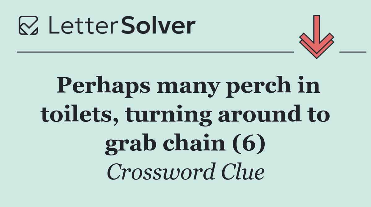 Perhaps many perch in toilets, turning around to grab chain (6)