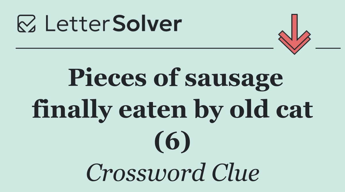 Pieces of sausage finally eaten by old cat (6)