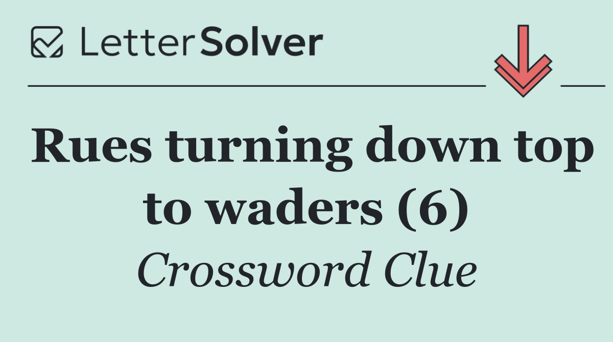 Rues turning down top to waders (6)