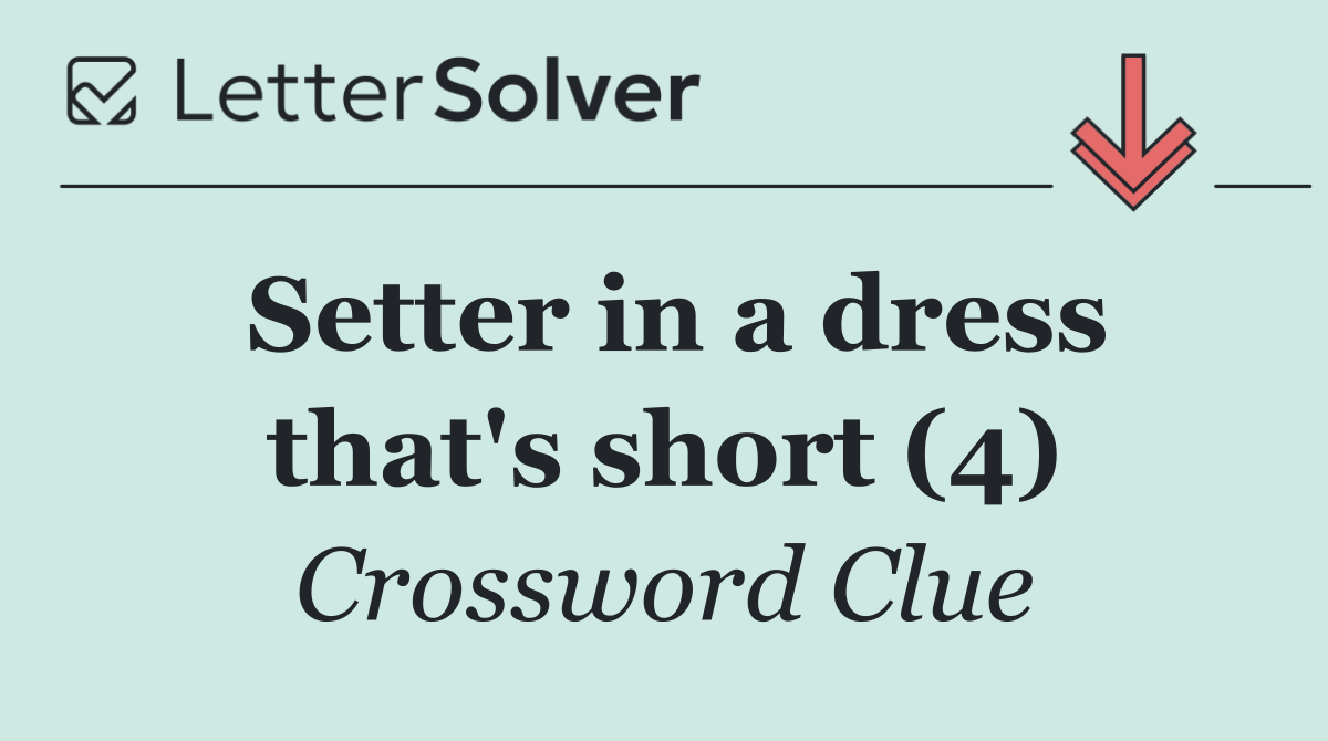 Setter in a dress that's short (4)