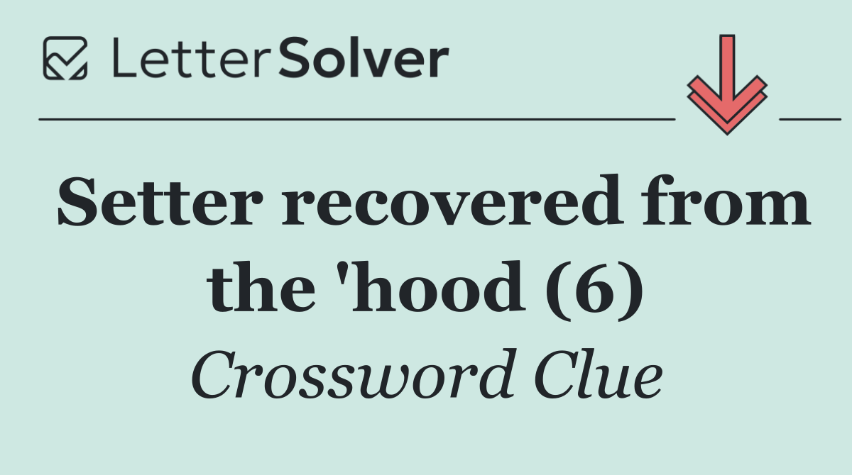 Setter recovered from the 'hood (6)