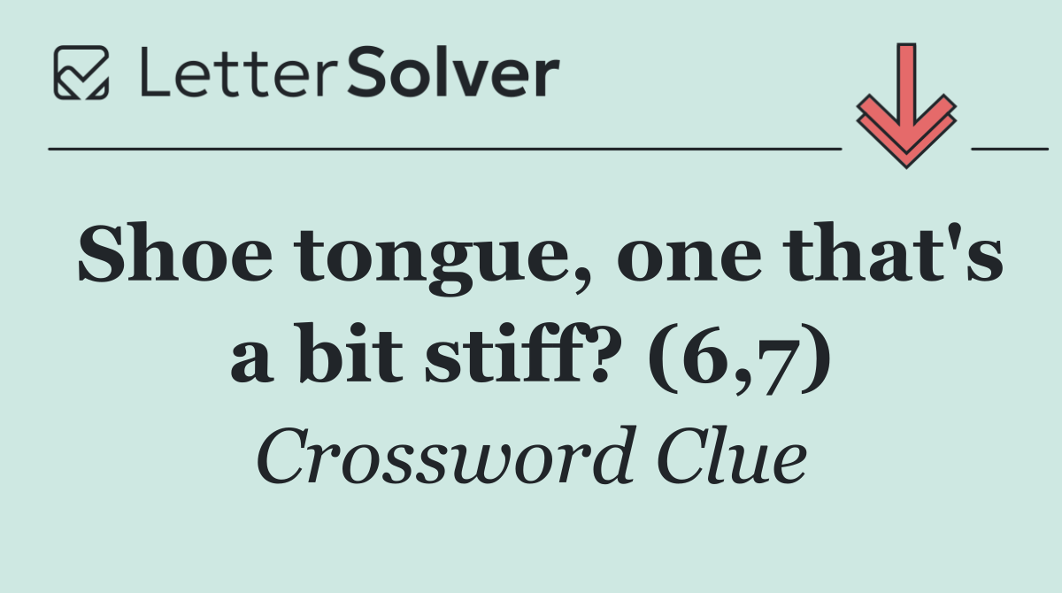 Shoe tongue, one that's a bit stiff? (6,7)