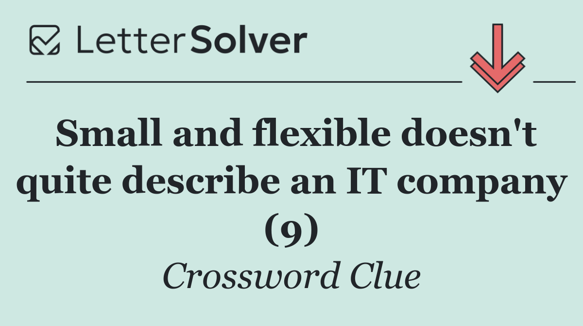 Small and flexible doesn't quite describe an IT company (9)