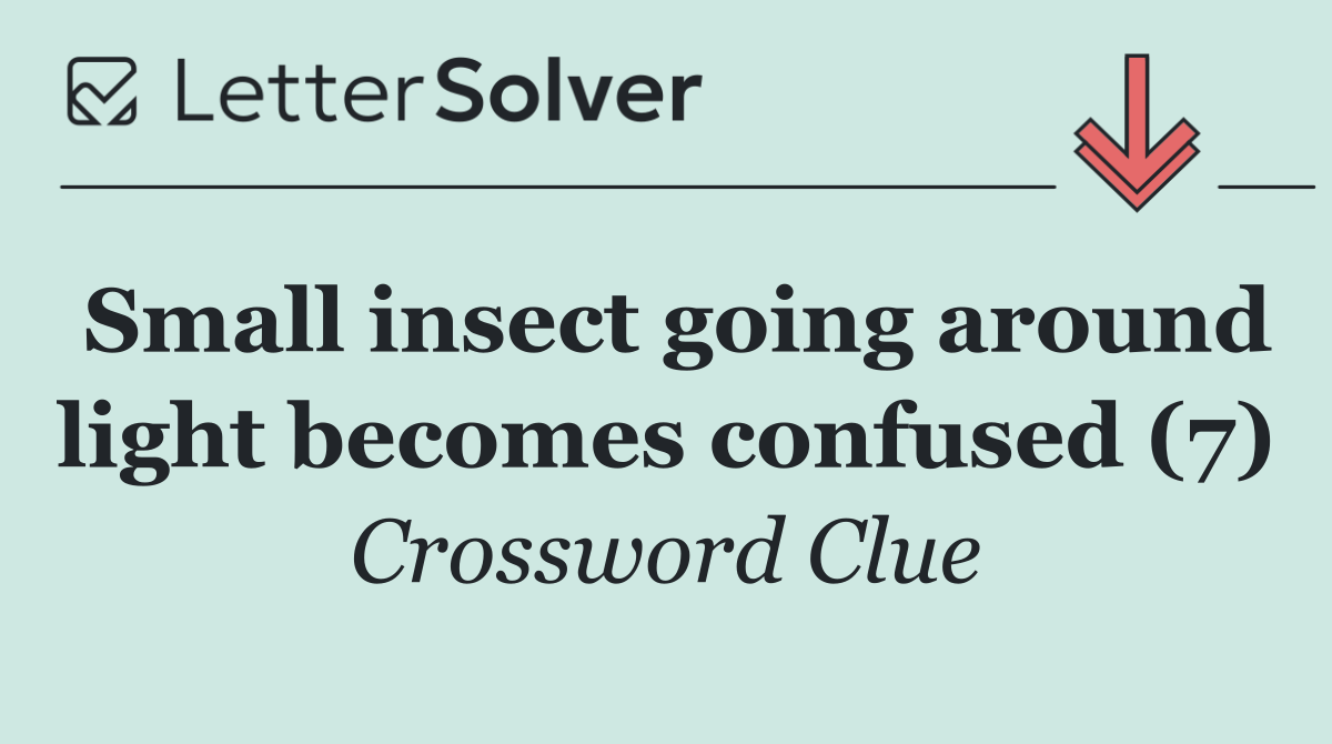 Small insect going around light becomes confused (7)