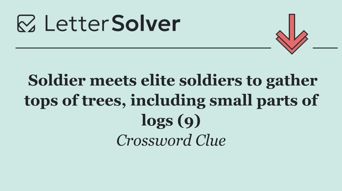 Soldier meets elite soldiers to gather tops of trees, including small parts of logs (9)