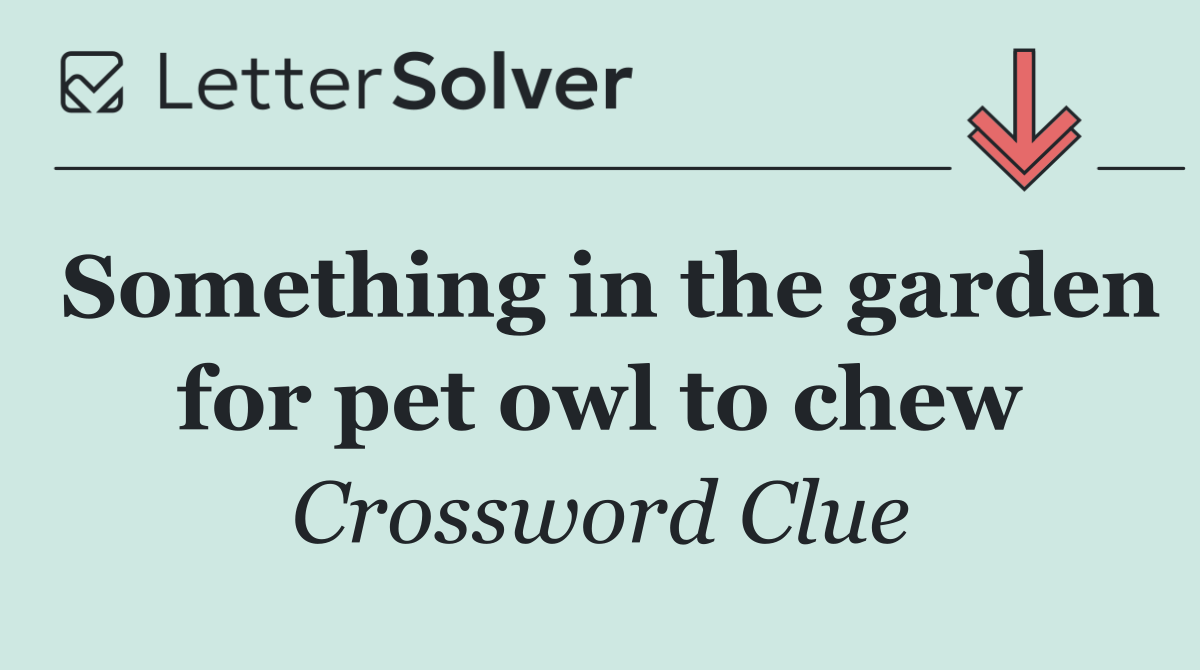 Something in the garden for pet owl to chew