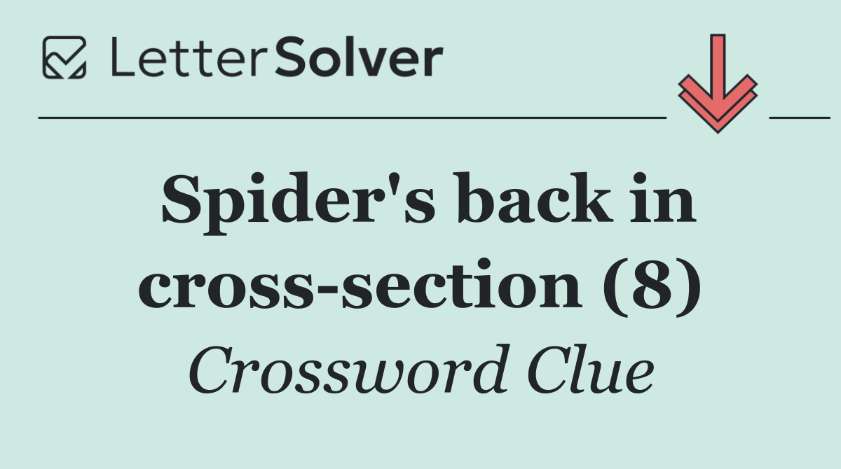 Spider's back in cross section (8)