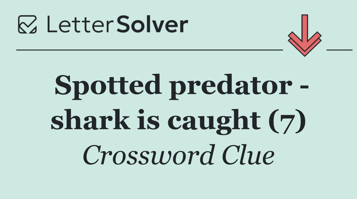 Spotted predator   shark is caught (7)