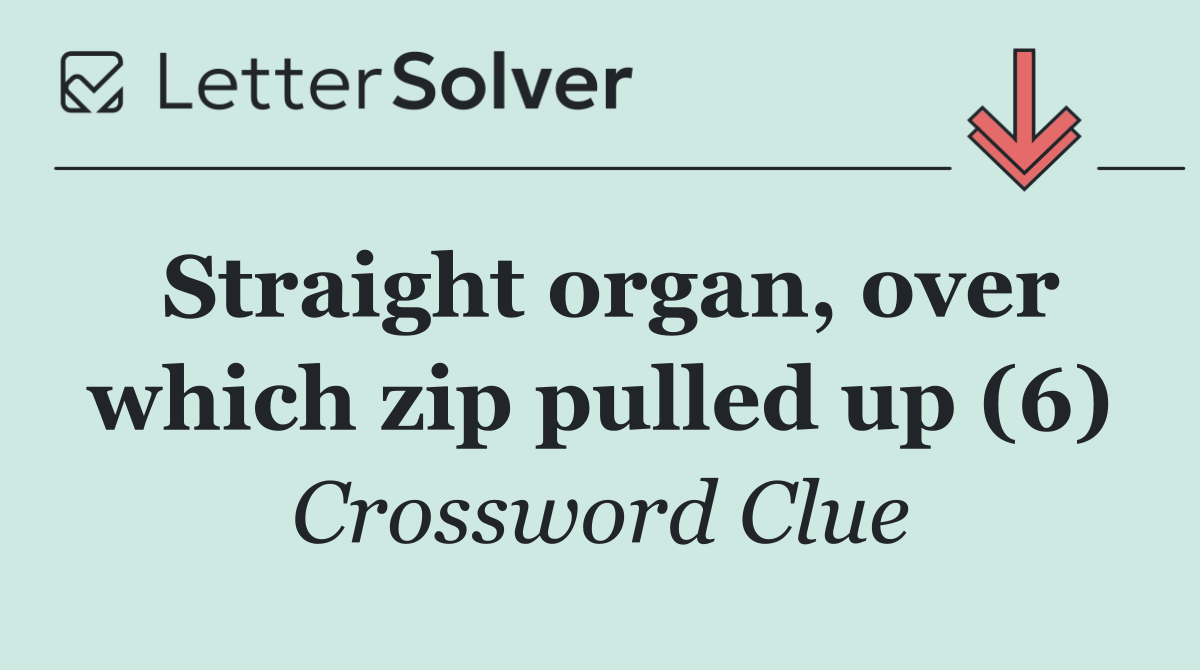 Straight organ, over which zip pulled up (6)
