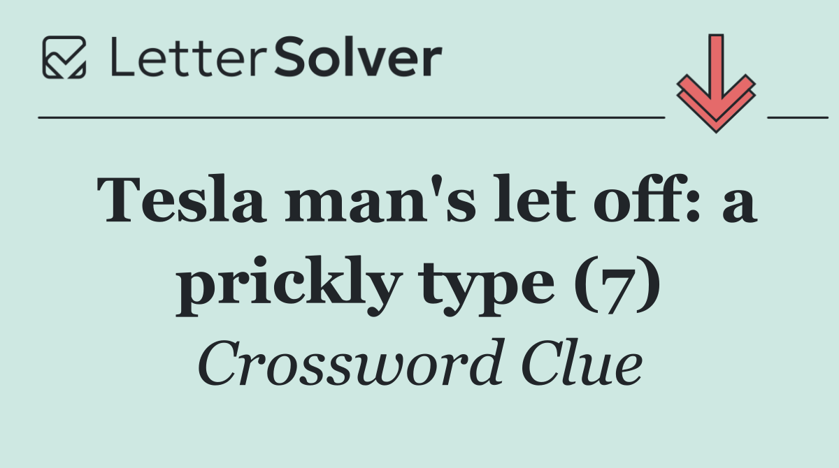 Tesla man's let off: a prickly type (7)