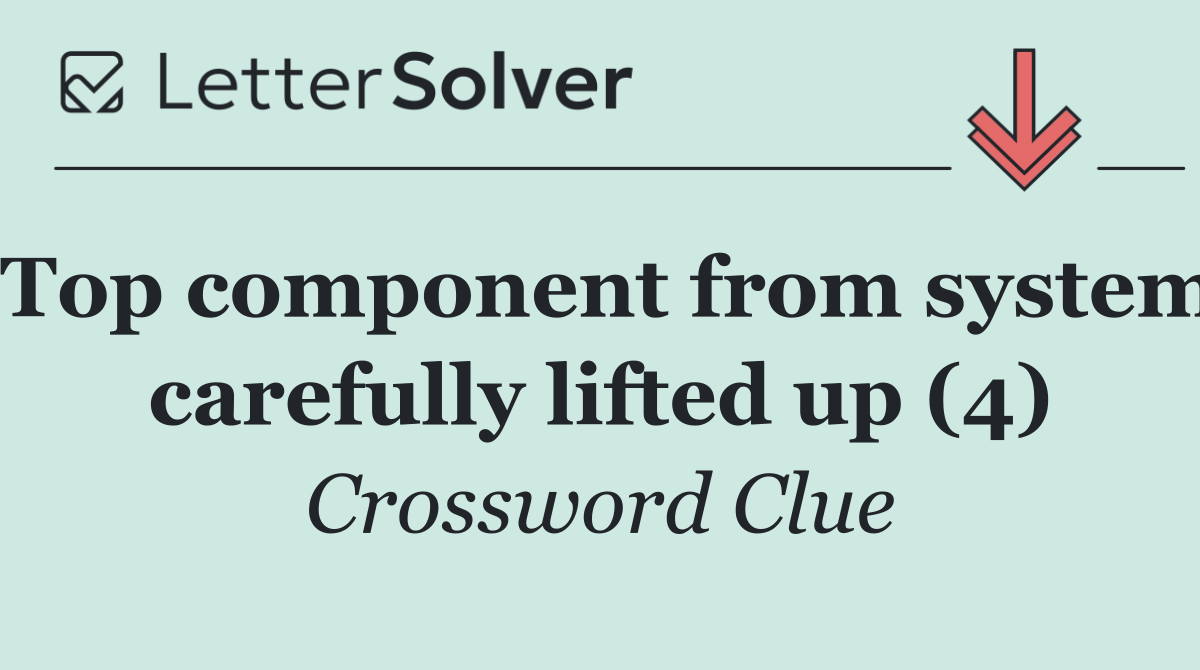 Top component from system carefully lifted up (4)