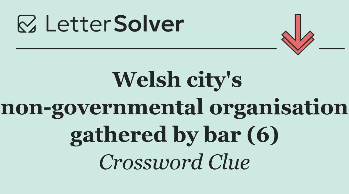Welsh city's non governmental organisation gathered by bar (6)