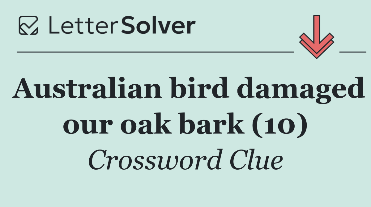 Australian bird damaged our oak bark (10)