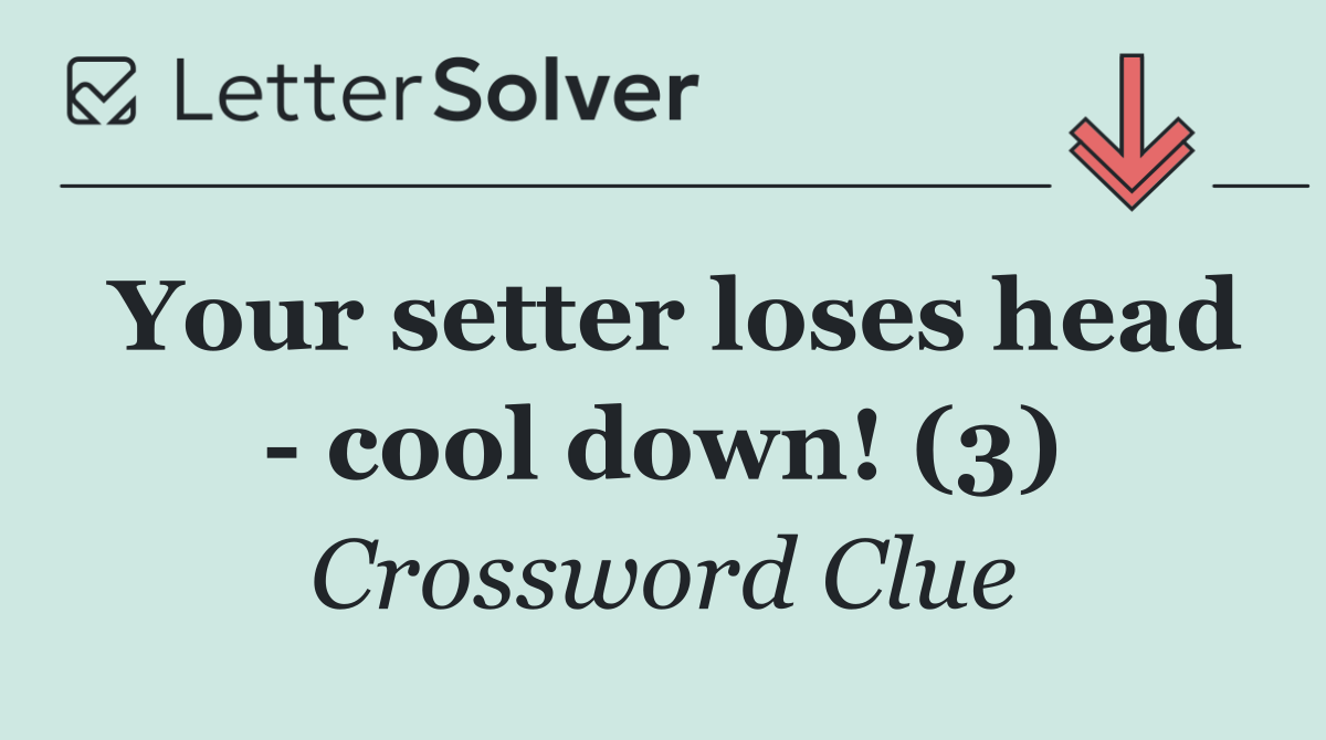 Your setter loses head   cool down! (3)