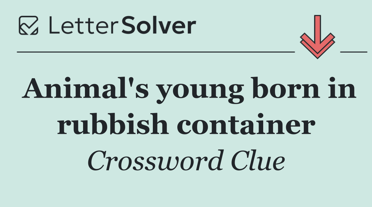 Animal's young born in rubbish container