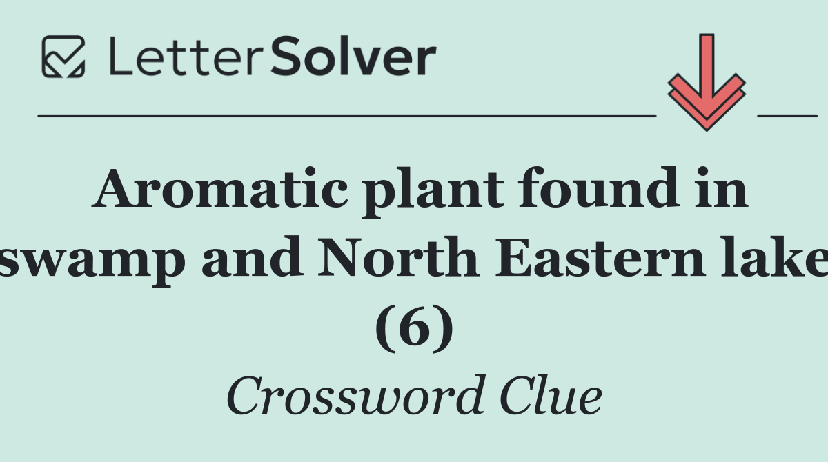 Aromatic plant found in swamp and North Eastern lake (6)