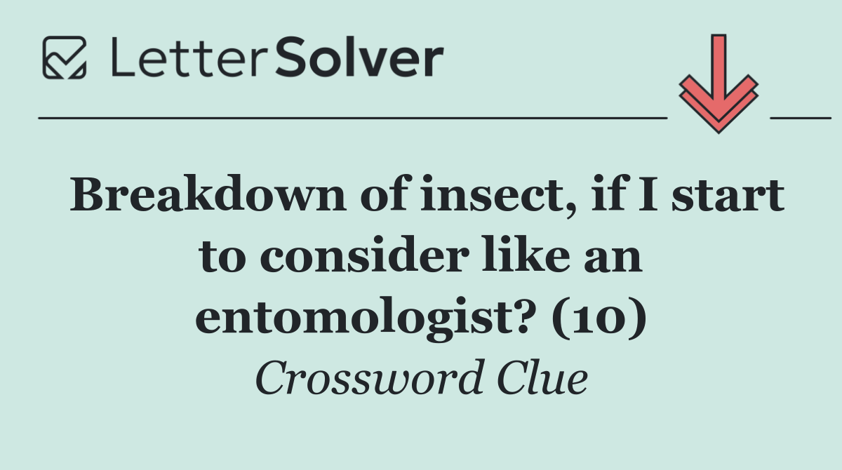 Breakdown of insect, if I start to consider like an entomologist? (10)