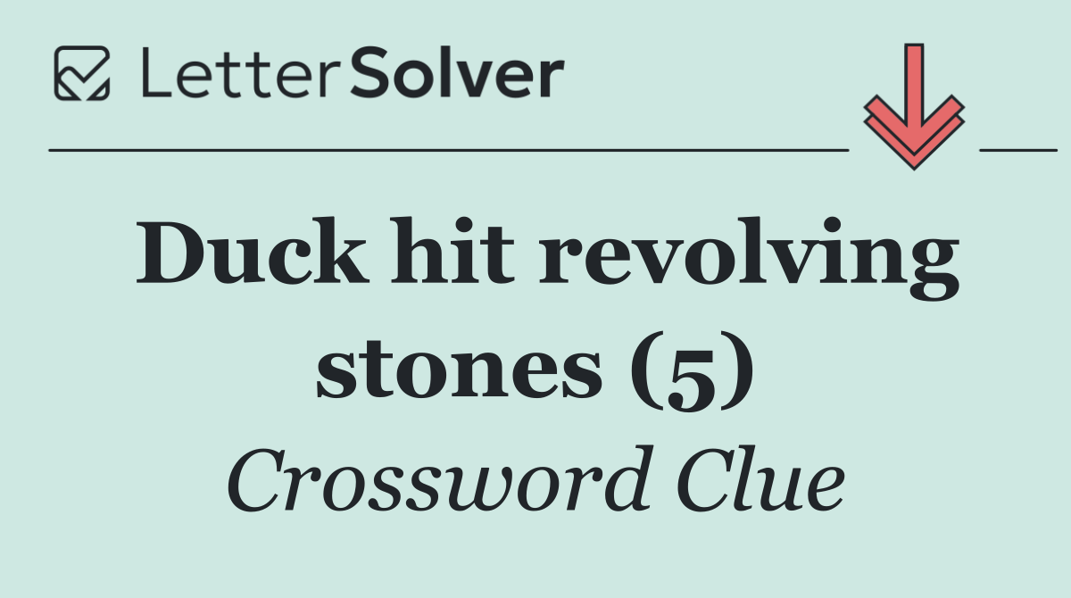 Duck hit revolving stones (5)