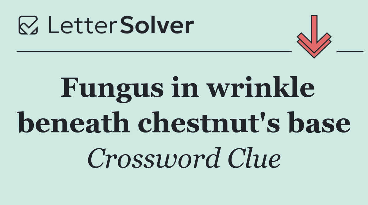 Fungus in wrinkle beneath chestnut's base