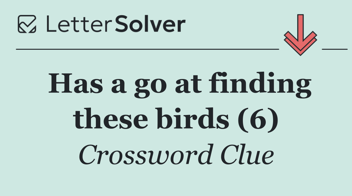 Has a go at finding these birds (6)