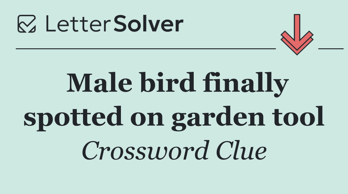 Male bird finally spotted on garden tool