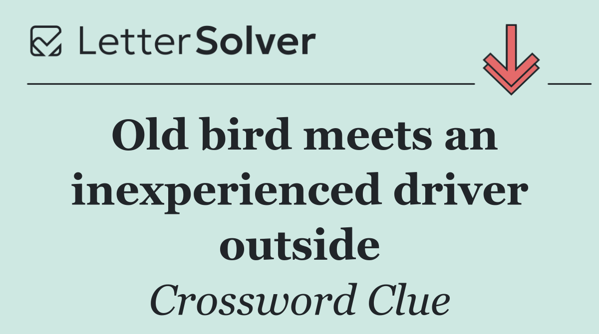 Old bird meets an inexperienced driver outside