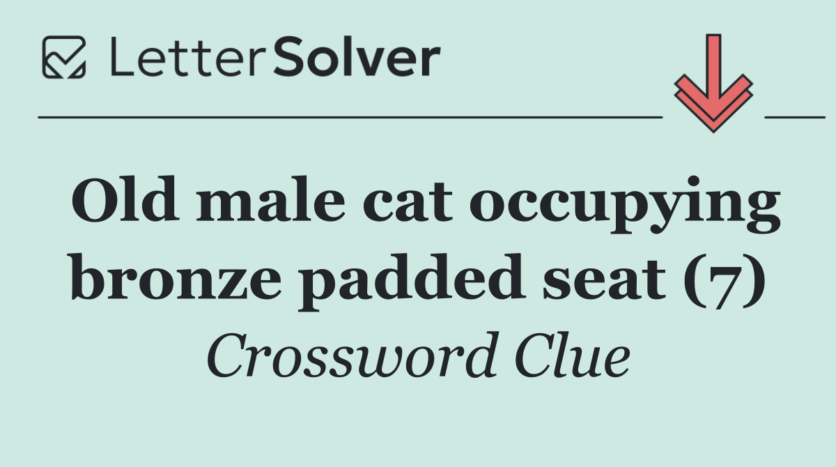 Old male cat occupying bronze padded seat (7)