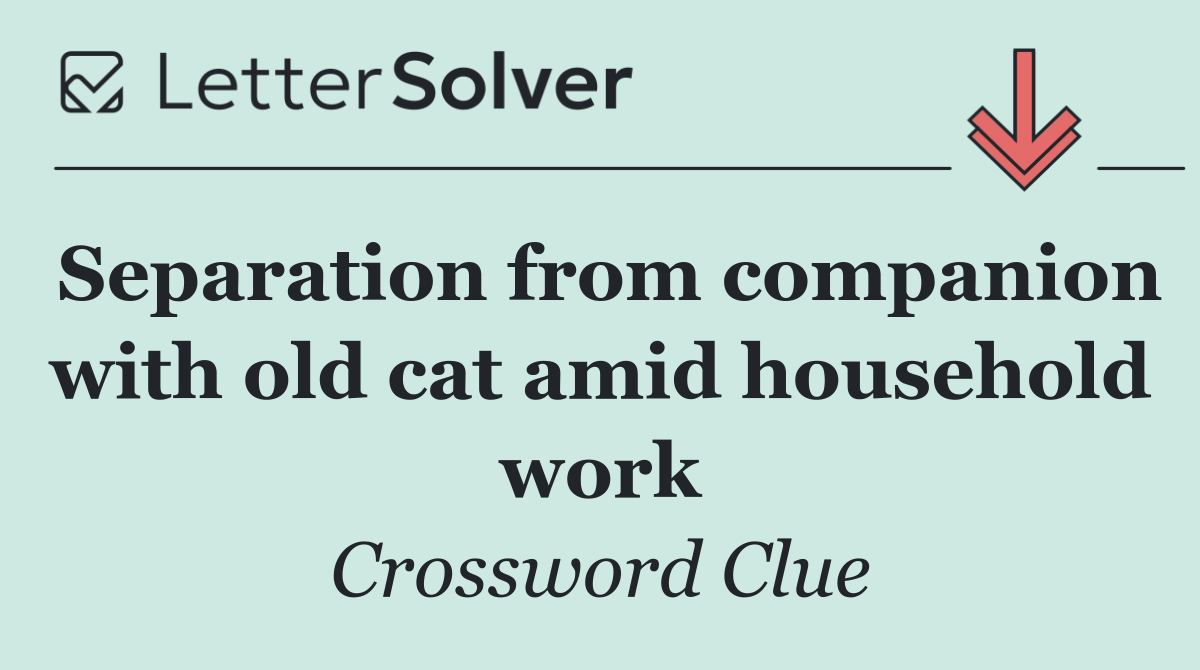 Separation from companion with old cat amid household work