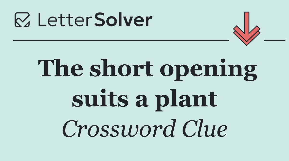 The short opening suits a plant