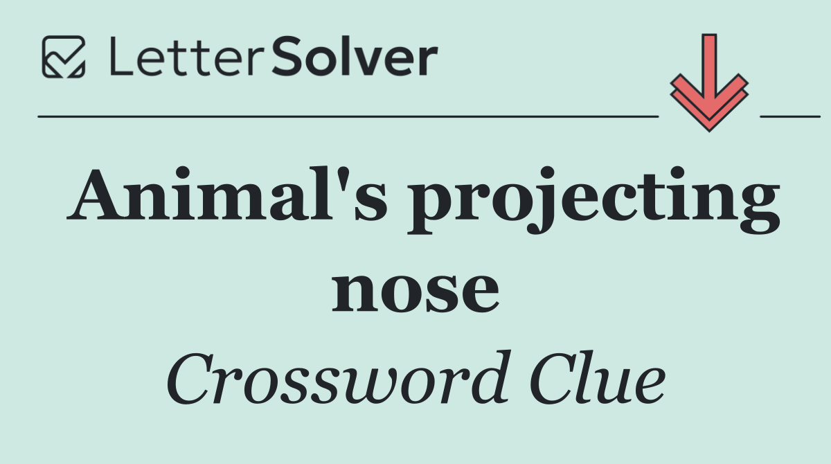 Animal's projecting nose