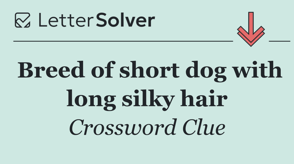 Breed of short dog with long silky hair