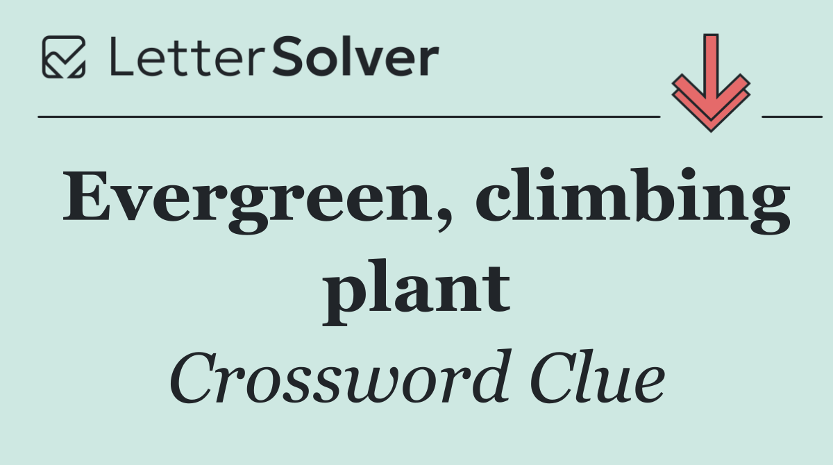 Evergreen, climbing plant