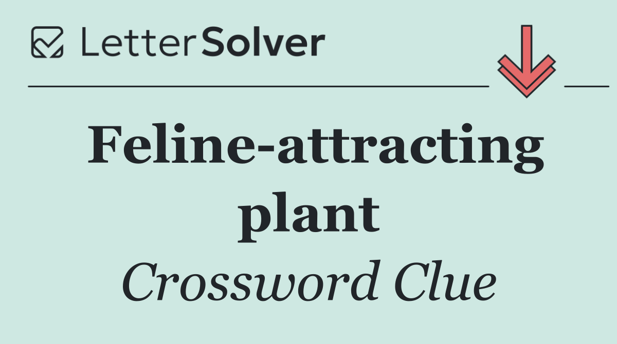 Feline attracting plant